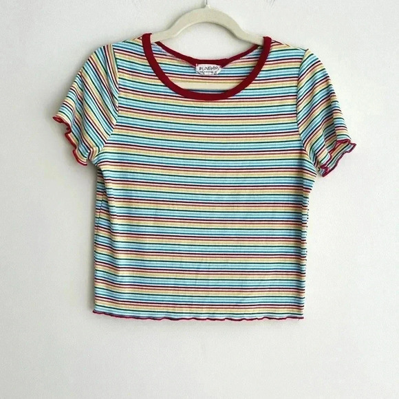 #LOVEWINS Rainbow Striped Ribbed Tee with Lettuce Hem, Pride Crop Top-Size Large - Picture 1 of 16